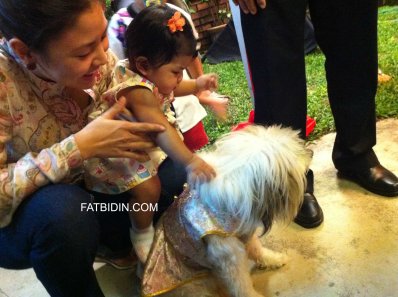 Athena playing with Aunty Leng's dog Angel.